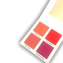 Load image into Gallery viewer, NAUGHTY NURSE - BLUSH PALETTE
